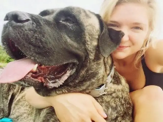 FOTOS: su perra sufría de cáncer terminal, pero ella hizo algo muy conmovedor