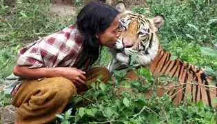 Amistad entre un tigre de Bengala y un hombre sorprende en Indonesia