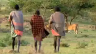 YouTube: estos hombres le roban la comida a fieros leones sin luchar ¡Increíble!