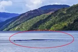 Criatura desconocida causa fuerte oleaje en el lago Colico de Chile