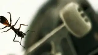 Formic: un corto sobre la épica aventura de una hormiga en un skatepark