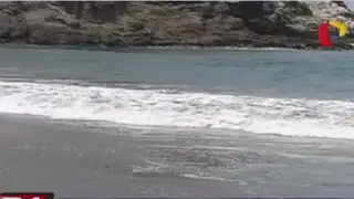 Bañistas expuestos al peligro por poca señalización en playas