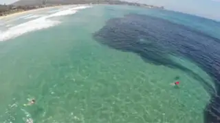 Aparente mancha de petróleo en el mar sorprendió a los bañistas al revelar su verdadera naturaleza
