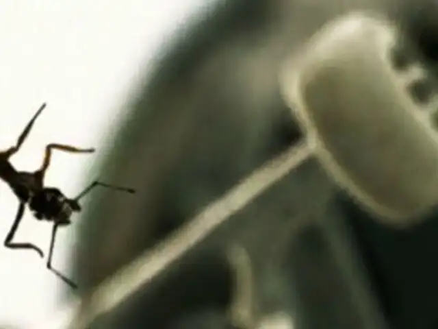 Formic: un corto sobre la épica aventura de una hormiga en un skatepark