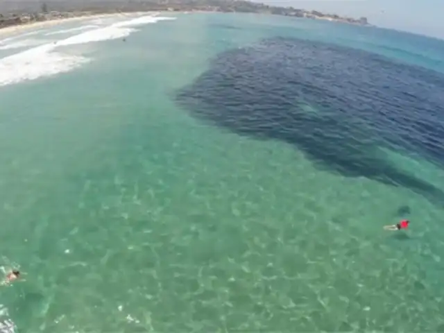 Aparente mancha de petróleo en el mar sorprendió a los bañistas al revelar su verdadera naturaleza