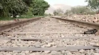 Tren arrolla a sujeto en aparente estado de ebriedad