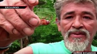 El amigo de las cucarachas: conoce al hombre que se alimenta con insectos