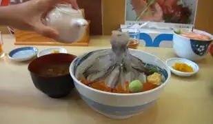 Youtube : calamar ‘resucita’ cuando le echan salsa de soya