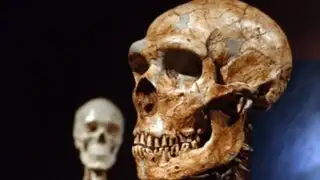 ¿Cuándo nació el primer ser humano?
