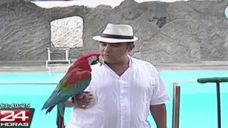Zoológico de Huachipa: actores interactúan con animales en novedosa obra teatral