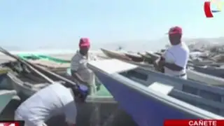 Fuertes oleajes perjudican labor de pescadores en Cañete