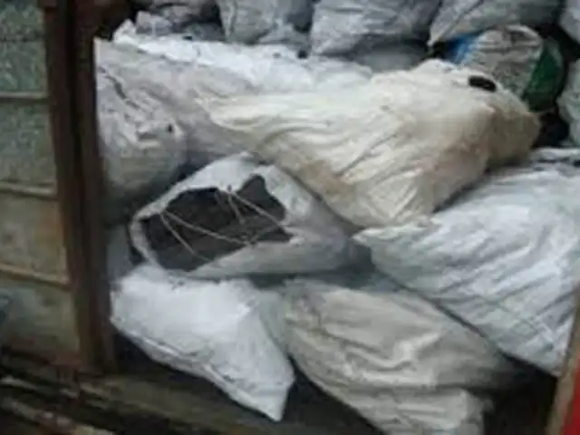 Autoridades de Cajamarca decomisan 1625 kilos de carbón