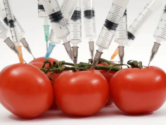 Cinco alimentos de consumo masivo que han sido modificados genéticamente