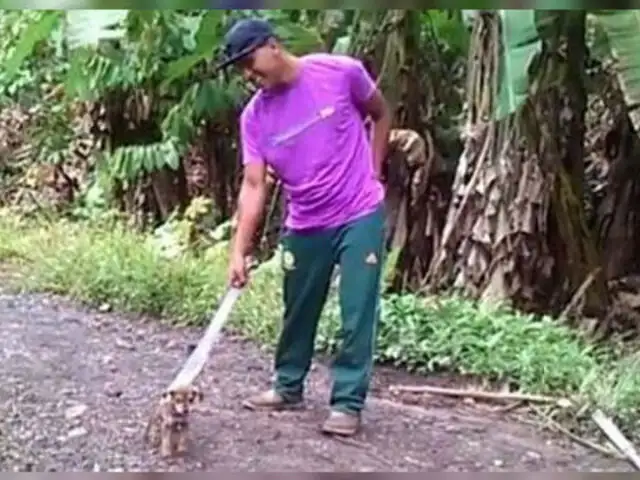 Políticos también repudian video del salvaje asesinato de un perro en el Cusco