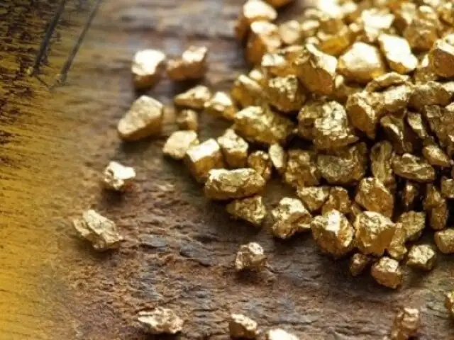 Científicos afirman que las heces humanas contienen oro y plata