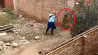 ¡Indignante! Mujer cuelga del cuello a perro y le lanza piedras en Bolivia