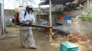 Prevención ante el dengue: autoridades fumigan viviendas de AA.HH de Piura