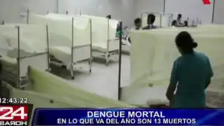 Minsa: "Se elevó a 13 el número de muertos por dengue en lo que va del año"