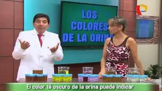 Doctor en Familia : ¿Qué dice el color de la orina sobre tu salud?