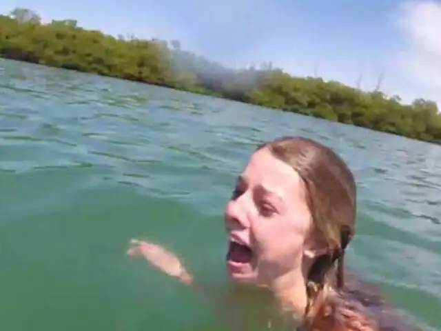 Mujer vive momentos de pánico cuando nadaba junto a un manatí