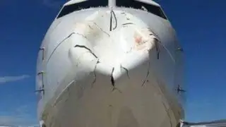 Insólito: ave choca y abolla nariz de un avión en Turquía
