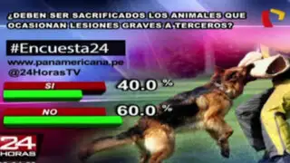 Encuesta 24: 60% se opone a sacrificar animales que ocasionen lesiones graves a terceros