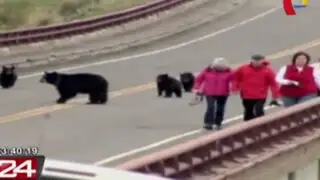 VIDEO: turistas en pánico tras ser perseguidos por osos en parque de EEUU