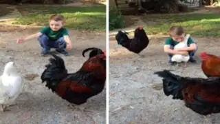 YouTube: tierno abrazo entre un niño y su gallina se convierte en viral