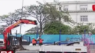 Municipalidad de Lima inició traslado de árboles por obras del By pass de 28 de Julio