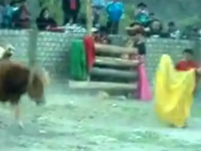 YouTube: maltratan perro durante fiesta de Virgen de la Asunción en Apurímac