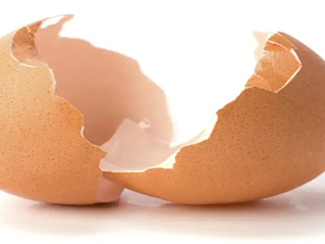 Descubre los sorprendentes usos de la cáscara de huevo