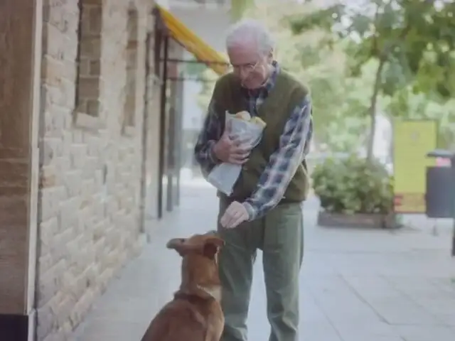 Perro protagoniza una campaña sobre donación de órganos y se vuelve viral