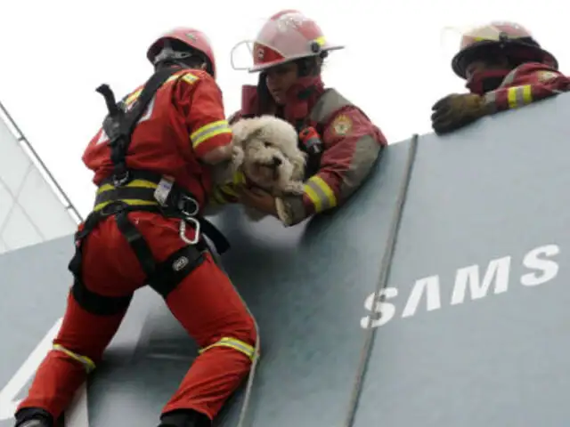 Surco realizó el primer simulacro de sismo con rescate de animales