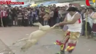 Huancayo: danzante de tijeras maltrata a perro durante presentación