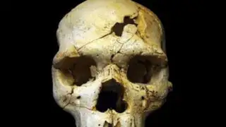 El primer asesinato de la historia fue hace 430.000 años