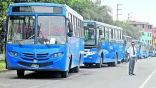 Javier Prado: 119 buses azules circularán desde el 01 de julio