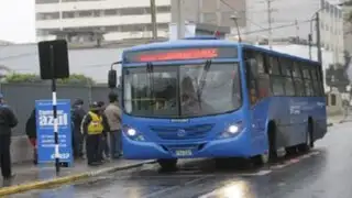 Protransporte: buses del Corredor Azul cambiarán a color plomo
