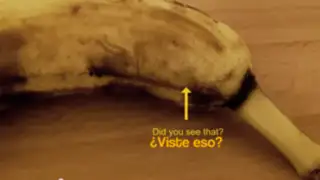 YouTube: estaba por tomar un rico desayuno pero algo aterrador salió de este plátano