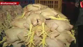 Informe 24: pollos almacenados en pésimas condiciones iban a ser distribuidos en mercados