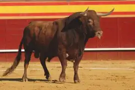 Hombre muere tras ser corneado por un toro en tradicional encierro en España