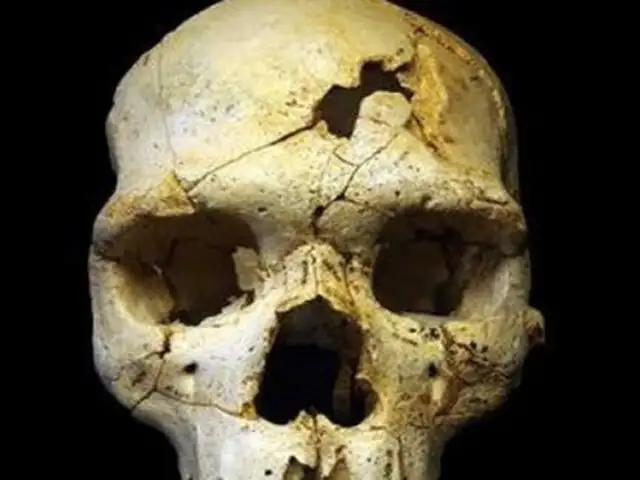 El primer asesinato de la historia fue hace 430.000 años