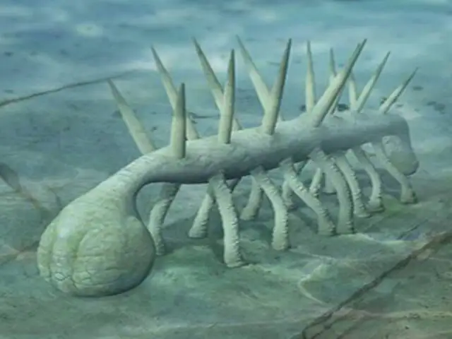 FOTOS : las 5 criaturas extintas más extrañas de la antigüedad