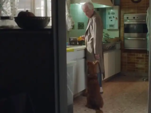 ¿Por qué todos terminamos llorando con este anuncio de un anciano y su perro?
