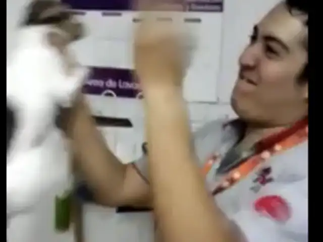México: indignación tras la difusión de videos de maltrato animal en tienda de mascotas
