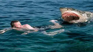 VIDEO : nuevo ataque de tiburón es registrado por turista en Sudáfrica
