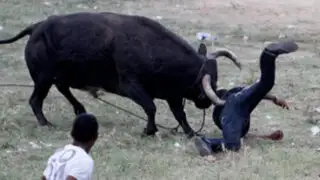 Impactantes imágenes: toro cornea a hombre hasta matarlo durante festival español