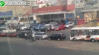 Comerciantes sin límites: invaden berma central de avenida para vender autos