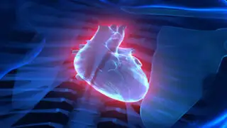 VIDEO : nuevo software permite ver imágenes del corazón en 4D