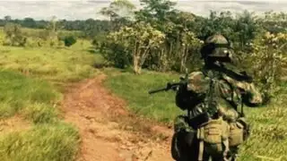 Colombia: recuperan 280 mil hectáreas que estaban en poder de las FARC