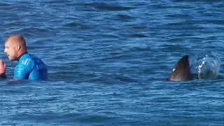 Escalofriantes imágenes: surfista es atacado por un tiburón en plena competencia